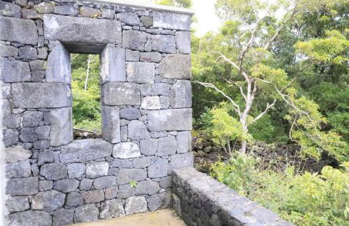 Casas do Caminho Novo - Photo 14