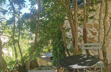 Dendrocopos Medius - Photo 7