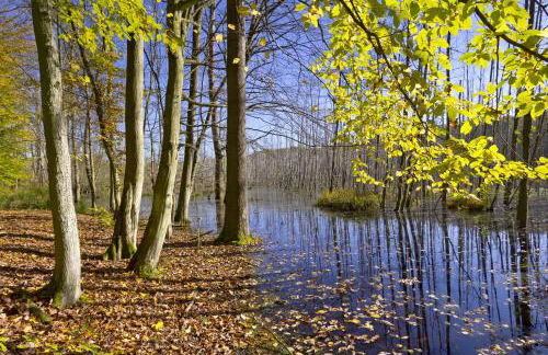 Apartment in Müncheberg 53547 - Photo 13