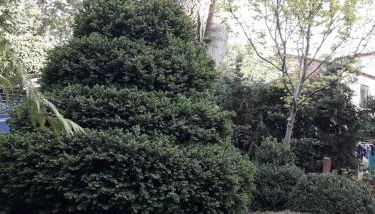 Ferienwohnungen Salzwedel Weissbach - Foto 2