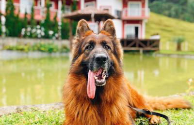 AMPLA CASA DE CAMPO - Afaven - Photo 2