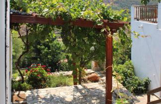 Ikaria Utopia - Cusco Studios - Photo 14