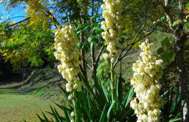 Quinta da Chouza Agroturismo e Enoturismo - Foto 49