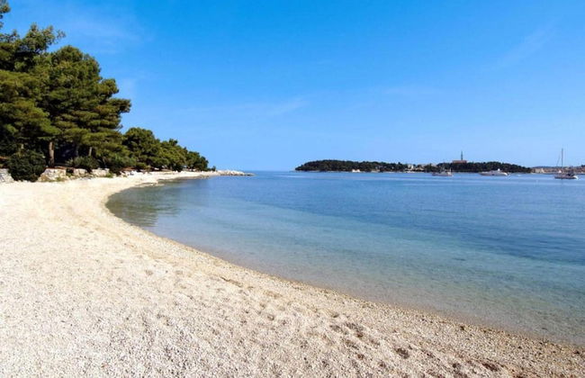 Villa with Swimming Pool, Volleyball Court & Hot Tub, near Rovinj - Foto 37