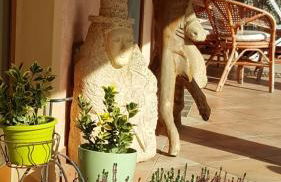 Agriturismo Sa Ruda - Foto 13