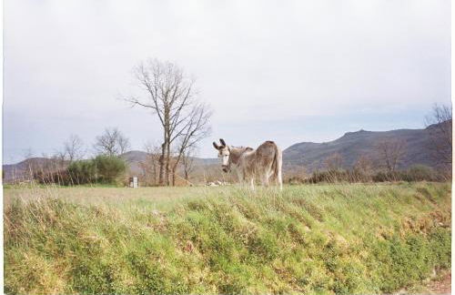Casa do Sobrado-Gralhas-Montalegre - Photo 20