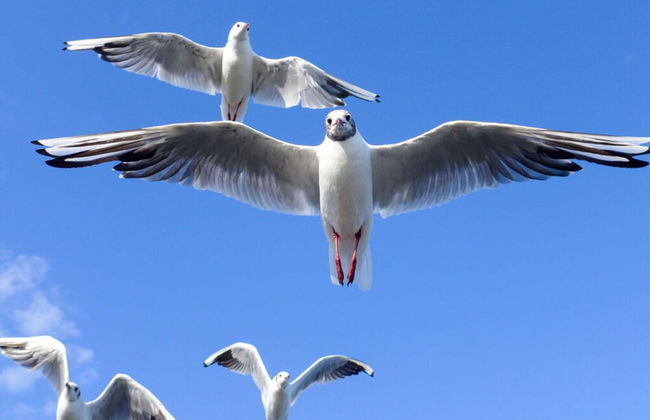 "landlust" Modern Retreat - Foto 14