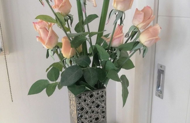 Close Airport Style Home - Foto 7