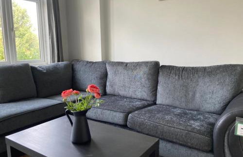 Twin home with free parkings, Surbiton, Kingston upon Thames, Surrey, Greater London, UK! - Foto 46