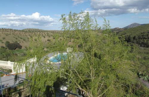 Casa Joya - Photo 80