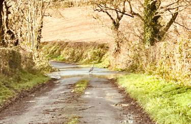 The Stable Springmount Accommodation - Foto 33