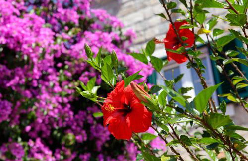 Penthouse Vanja - Photo 45