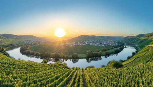 Moselanmut in Ediger-eller - Foto 4