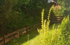 Alpina Inzell Wohnung 454 - Foto 18