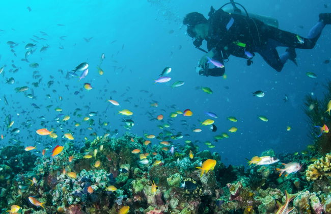 Bautismo de buceo en Lombok - Foto 7