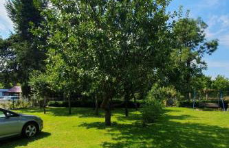 Holiday Home Haus Am Nussbaum by Interhome - Foto 18