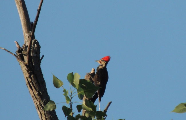 MV GiaMaria - Foto 10