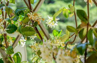 Fani's Seacret - Foto 18