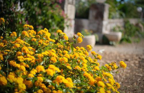 Vretti's House - Foto 28