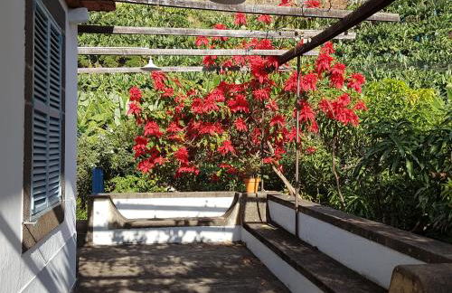 Casa da Madalena do Mar - Foto 38