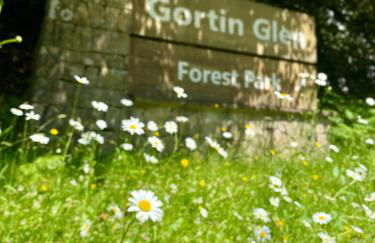 Mill Farm Retreat - Foto 10