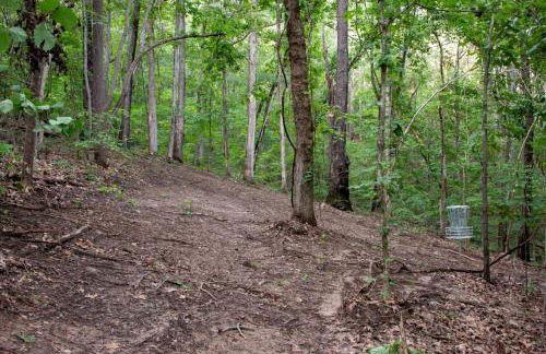 Lofted Romantic Tree House Immersed in Nature in Alabama - Foto 38