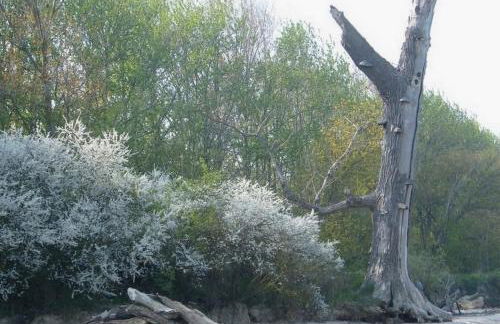 Muschelsucher - Sünnenkieker WE10 - ABC250 - nur Feriengäste! - Foto 13