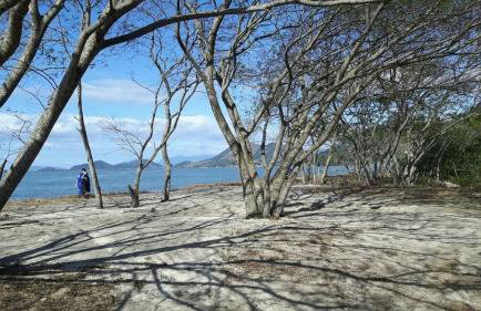 Condado Aldeia dos Reis 311 - Foto 47