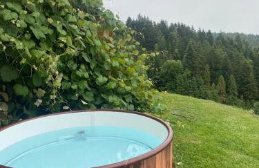 Apartament w górach Gorce - Foto 6