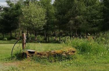 Le Chalet des Forêts Enchantées - Foto 51