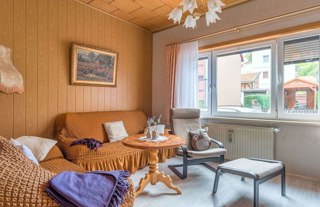 Lovely Apartment in Ilsenburg Harz near Ski Area - Foto 17