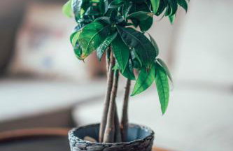 Eptalofos Studio loft - Foto 25