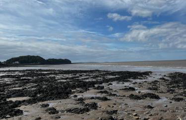 Garden Place - Foto 24