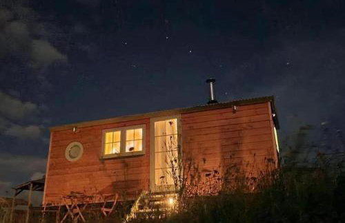 Cosy Devon Hut Woodland Views - Photo 11