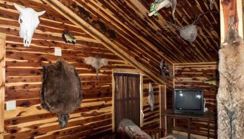 Farmhouse Cabin Getaway near Ozark Forest in Arkansas - Foto 5