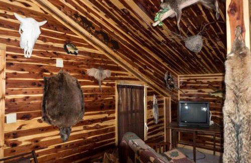 Farmhouse Cabin Getaway near Ozark Forest in Arkansas - Foto 5