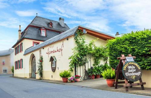 Weingut Herrenhof Andrea Thielen - Foto 13