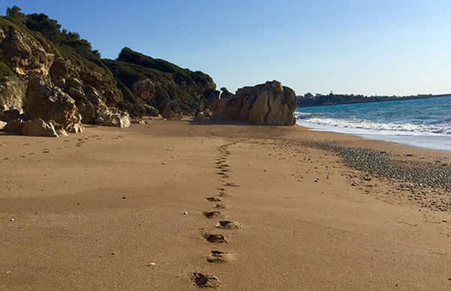 Filiatra Welcoming Hideaway - A Cozy Urban Escape - Foto 34