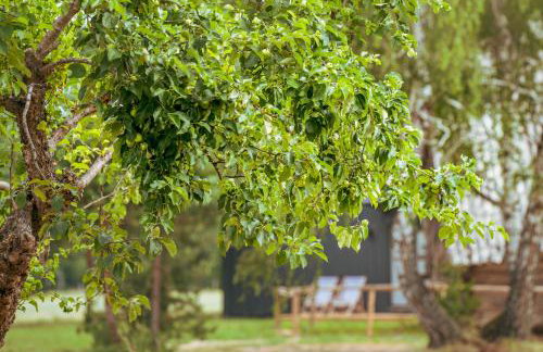 Arche Siedlisko Rogacze 65 - Foto 24