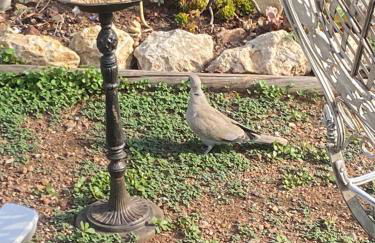 Rifugio Storico sul Mare - Foto 6