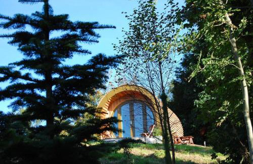 Ty Barcud Glamping Pod - Foto 11