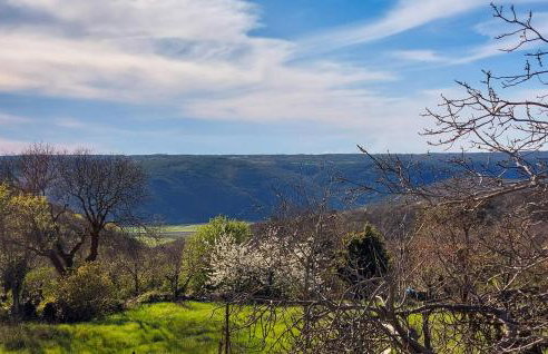 Amazing Home In Labin With Kitchen - Photo 2