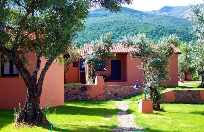 Aldea Vetonia Alojamientos con Encanto Parque de Mascotas-NO SE ACEPTAN EN JULIO Y AGOSTO- Varias zonas infantiles y deportivas "encuentranos y reserva para verano" - Foto 114