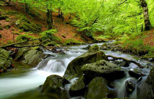 Pedroenea Apartamento Elizondo - Foto 48