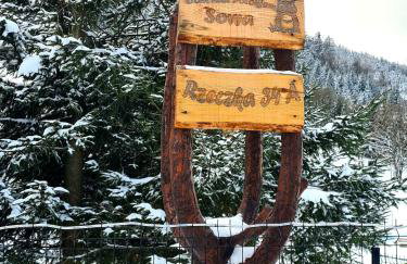 Dom nad Potokiem Sowa - Foto 43