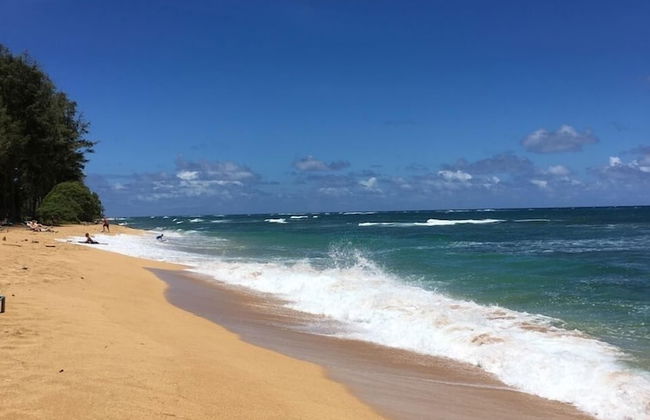 Kauai Hale Iki 1 Bedroom Home - Foto 25