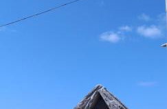 Marisini Sea View - Foto 27