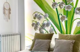 Natural Mente - Foto 30