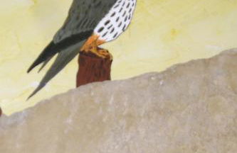 TORRE FUERTE Siglo XIII - Foto 28