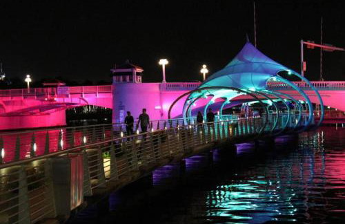 Charming Bungalow in Tampa - Foto 23